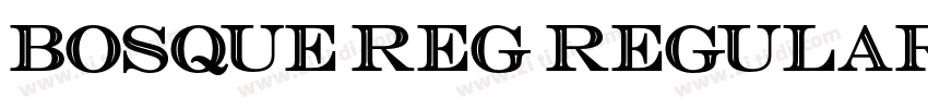 Bosque Reg Regular字体转换